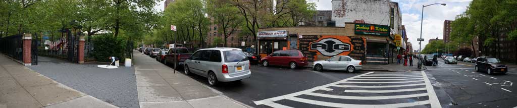 Uni in South Bronx