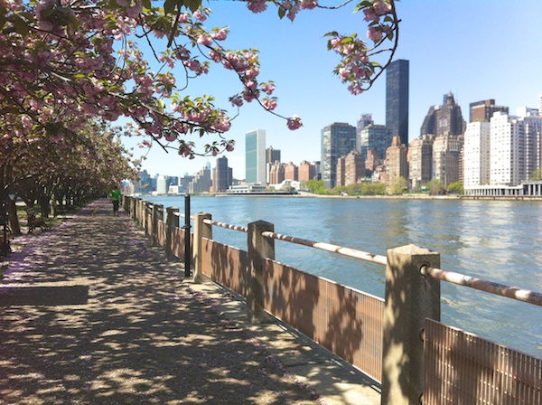 Uni Four Freedoms Park