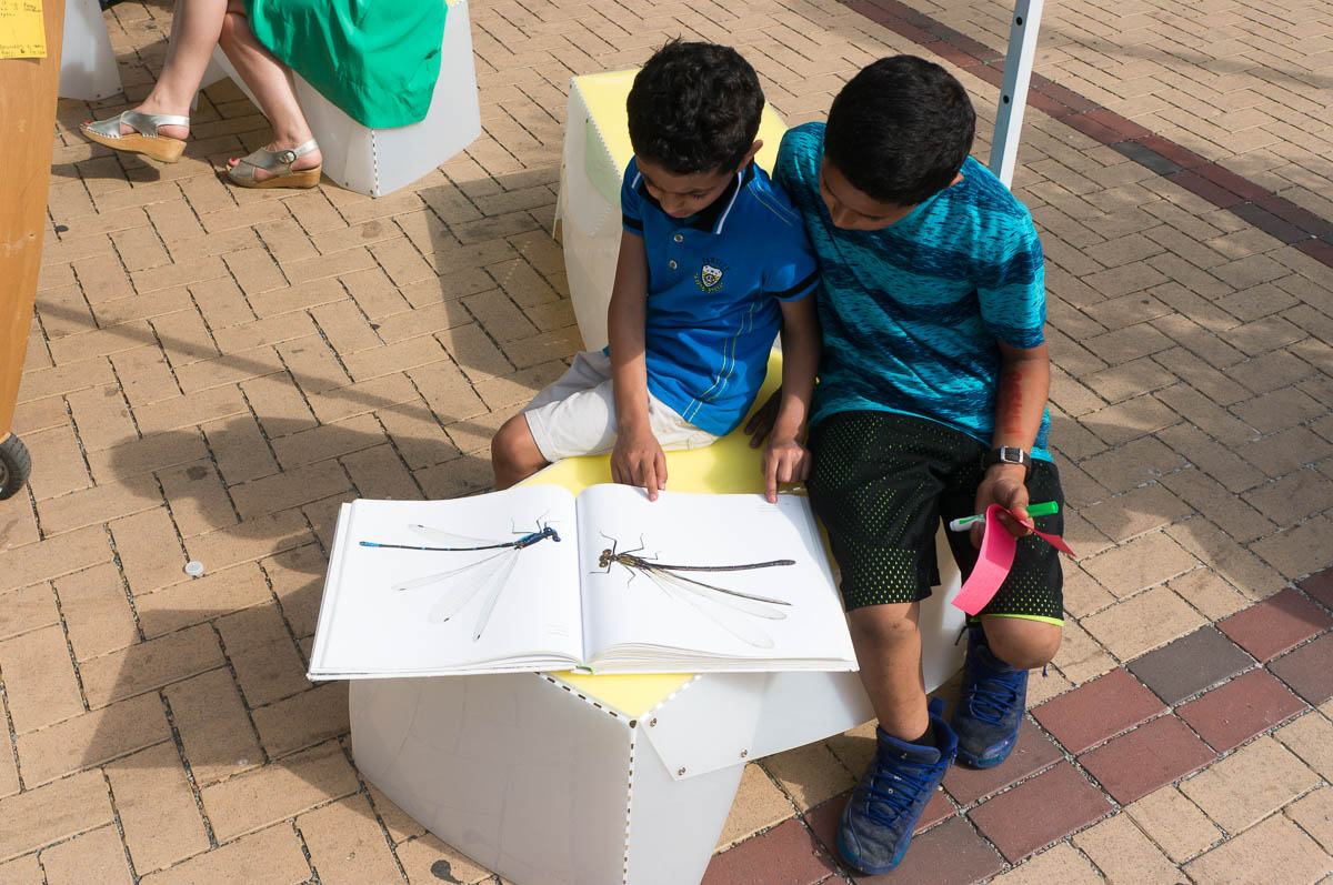 Uni Portable reading room at White Park East Harlem 2017