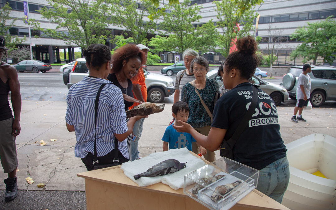 EXPLORE NYC, featuring urban birds, lands at Jacob H. Schiff Playground