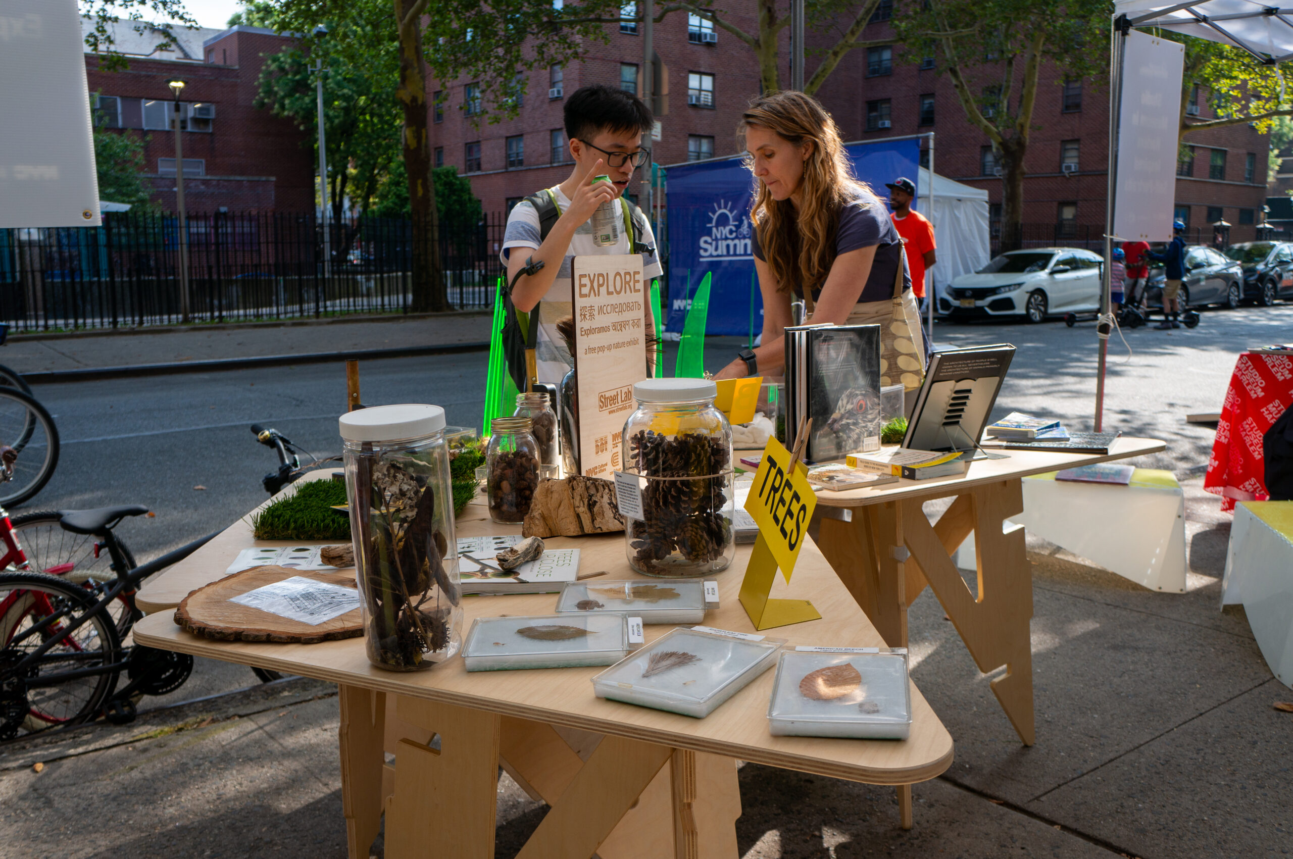 A view of two people looking at different bird specimen on a table in the street.