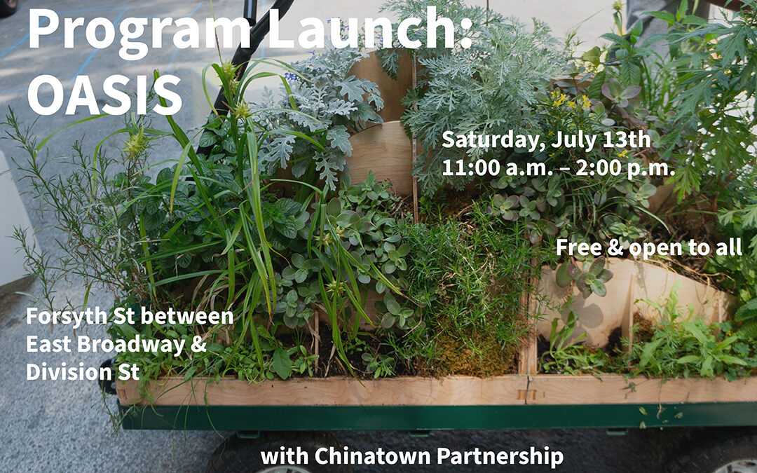 Join us on the street for OASIS launch