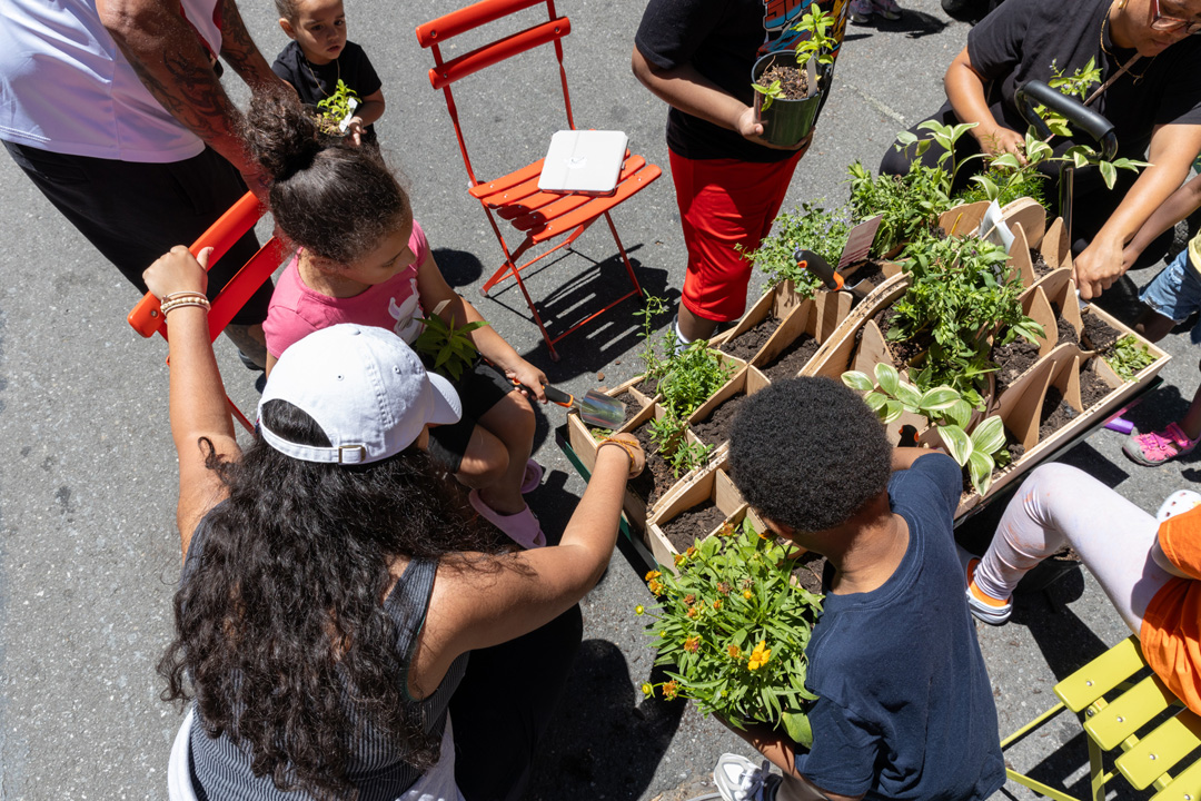 Children planting on the streets.