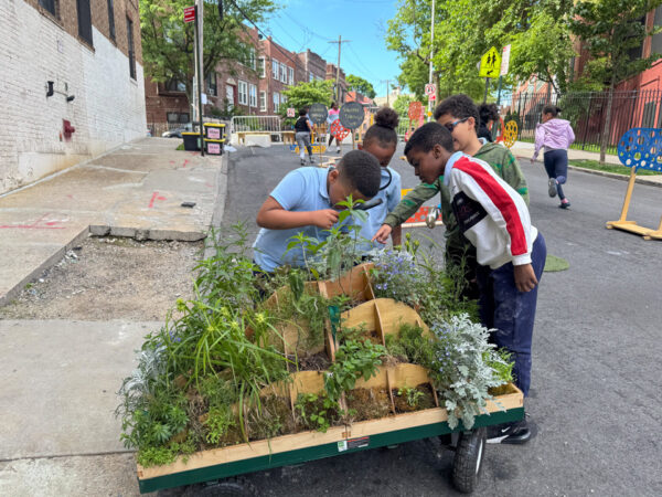 Students looking at a plant cart with a magnifying glass.