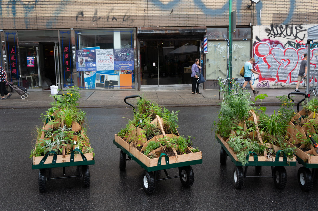A view of wooden plant carts on the street.