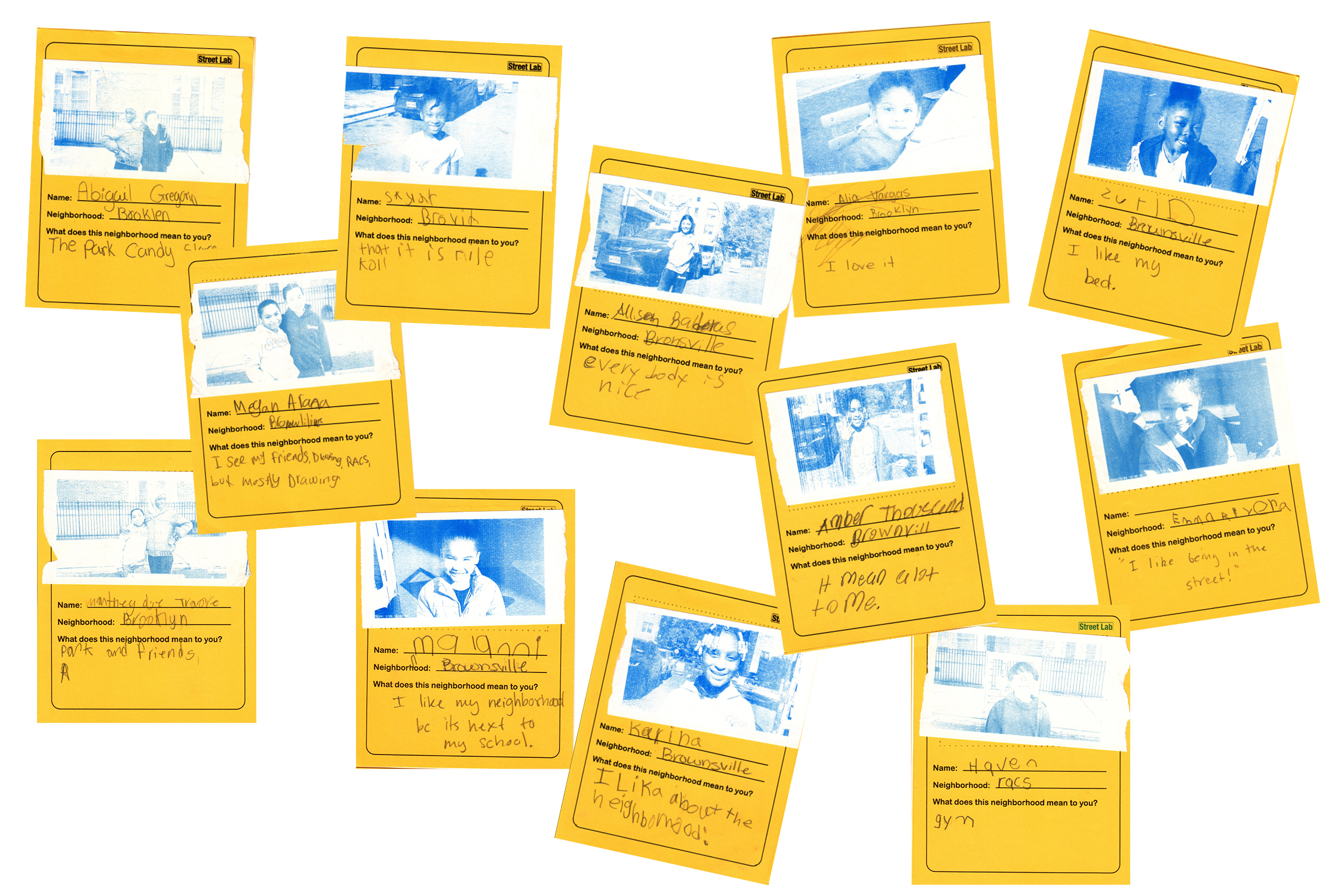 A collage of blue and yellow photo cards with photo & text.