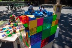 07_2018-07-19-151727_butlerhouses_nycha_1080px