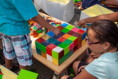 04_2018-07-26-133542_butlerhouses_nycha_1080px