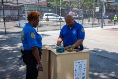 05_2018-07-28-132551_smithhouses_nycha_1080px