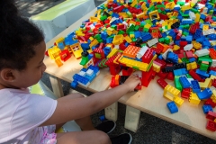 06_2018-07-28-134230_smithhouses_nycha_1080px