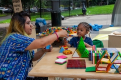 10_2018-07-31-141615_foresthouses_nycha_1080px