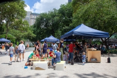 02_2018-08-01-121702_madisonsqpark_1080px