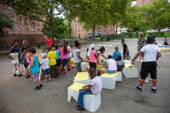 15_2018-08-02-153416_butlerhouses_nycha_1080px