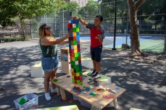 08_2018-08-09-151306_butlerhouses_nycha_1080px