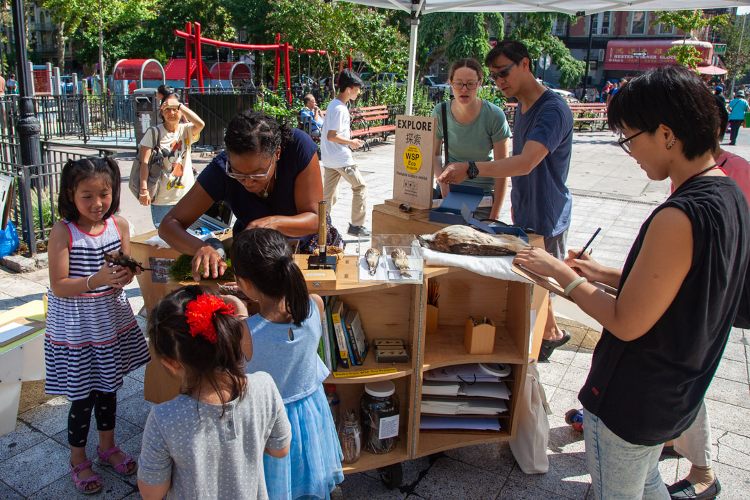 01_2018-09-16-113415_sdrpark_hesterst_1080px