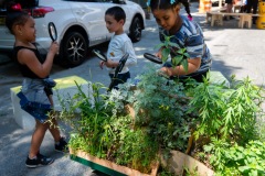 2024-06-14-110907_mthopepl_monroeave-anthonyave