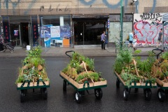 2024-07-13-101246_forsythst_ebroadway-divisionst