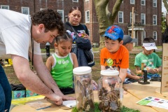 2025-04-19-113839_2025-04-19_governorsisland