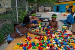 06_2018-07-06-163909_shelteringarmspool_1080px