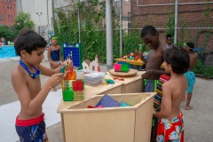 07_2018-07-06-163831_shelteringarmspool_1080px