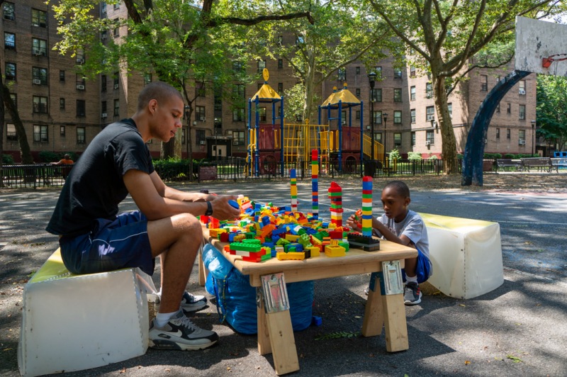 2019-08-01-124849_queensbridgehouses_nycha-2